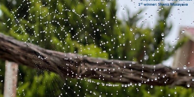 EU and UNDP support Azerbaijan in implementing environmental initiatives